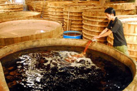 Người có chút hiểu biết phải bịt mũi đọc tin nước mắm thạch tín