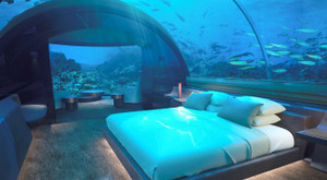 Nơi bạn có thể ngủ cạnh cá mập với với giá 50.000 USD/đêm