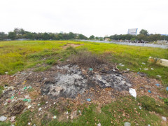 Cảnh bỏ hoang ở nhà máy 14 triệu USD của ông chủ Món Huế