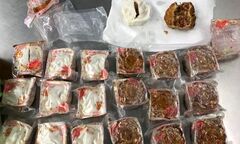 Mang bánh Trung thu sang Australia, du khách Việt bị trục xuất