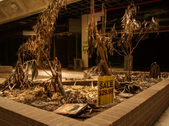 Loạt trung tâm thương mại sang chảnh bị bỏ hoang khắp nước Mỹ