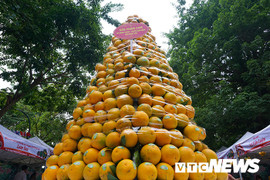 Nhiều nhà vườn 'cháy hàng' trong ngày đầu diễn ra phiên chợ cam Hưng Yên