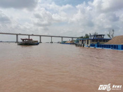 Hàng chục tàu lập bến thủy trái phép, chiếm hành lang bảo vệ cầu Cần Thơ