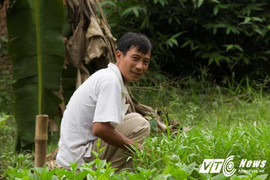 TP.HCM ngập nặng, nông dân 'khóc ròng' khi mất trắng hàng trăm triệu đồng
