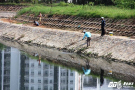 Cận cảnh dòng kênh 'đen ngòm' khiến cá chết hàng loạt ở Đà Nẵng