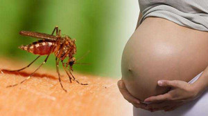 Vì sao TP.HCM thêm 12 trường hợp nhiễm virus Zika?