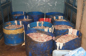 Bắt xe tải chở lòng heo thối vào chợ bán