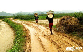 Bà con nông dân vùng cao Nghệ An ra đồng làm việc ngày mùng 3 Tết