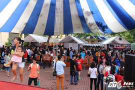 Giới trẻ TP.HCM hào hứng cùng Ngày hội Nhật Bản 2017