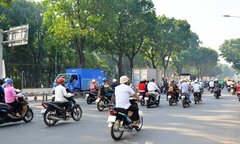 Sắp đốn hạ di dời 123 cây xanh để mở đường giảm kẹt xe ở Tân Sơn Nhất