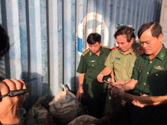 Bắt giữ gần 10 tấn ngà voi, vảy tê tê nhập lậu qua cảng Tiên Sa