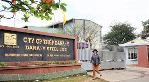 Công bố kết luận thanh tra hai nhà máy thép Dana-Ý, Dana-Úc