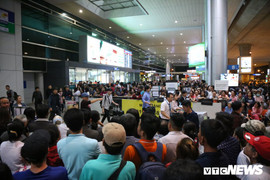 Kéo cả đại gia đình đi đón Việt kiều về quê ăn Tết, sân bay Tân Sơn Nhất kẹt cứng