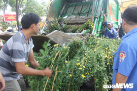 Quyết không 'bán rẻ như cho', thương lái ở TP.HCM chấp nhận biến hoa thành rác