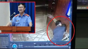 Nguyên Phó Viện trưởng VKSND ở Đà Nẵng dâm ô bé gái ở TP.HCM: UBND quận đề nghị công an khẩn trương khởi tố