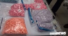 3 bưu kiện chứa ma túy ngụy trang trong thú nhồi bông từ nước ngoài vào Việt Nam qua đường hàng không