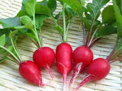 Lợi ích không nhỏ trong các loại rau màu đỏ