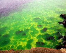 Hiện tượng cực hiếm: Nước biển chuyển màu, phát sáng kỳ lạ