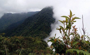 Tìm thấy hài cốt phi công Liên Xô mất tích 47 năm trước trong rừng rậm Việt Nam