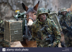 Quân đội Đức vẫn sử dụng ngựa để thồ hàng chuyên dụng