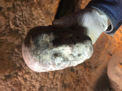 Truyền hình trực tiếp mở quách chứa xác ướp Ai Cập 2.500 năm