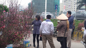 Khách chơi nườm nượp đổ về Nhật Tân săn đào quất