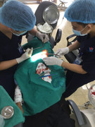 Đuổi chó cắn gà, người đàn ông bị chó lạ cắn nát vùng hàm mặt