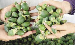 Mẹo giải rượu bia tức thì, đơn giản trong dịp nghỉ lễ 2/9