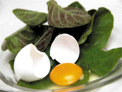 Lá mơ lông trị 'bách bệnh' ai cũng nên biết