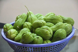 Su su: Loại rau dồi dào dinh dưỡng thường bị bỏ qua