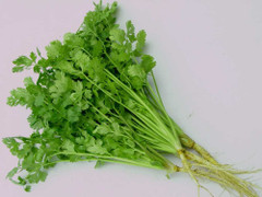 Rùng mình trước những tác dụng phụ đáng sợ của rau mùi