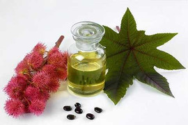 Dầu thầu dầu: Sự lựa chọn hoàn hảo cho sức khỏe và làn da