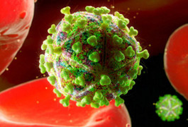 Phương pháp xét nghiệm tìm virus HIV ở nơi không ngờ tới