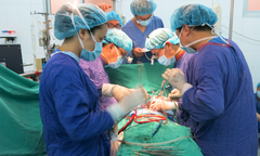 Thương tổn não một người chết, cứu 3 người bệnh tim và thận