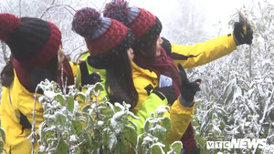 Ảnh: Du khách nườm nượp đổ về Sa Pa ngắm tuyết rơi trắng xóa