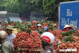 Ảnh: Dân Bắc Giang xếp hàng cả tiếng đồng hồ chờ cân vải