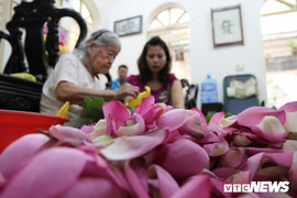 Hai bí mật ướp chè sen hảo hạng của người Hà Nội không phải ai cũng biết
