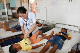 Ăn nấm độc, cả gia đình 7 người nhập viện cấp cứu