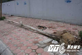 Cây chết khô, bật gốc đổ ngổn ngang trên phố Thủ đô