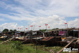 Những 'bông hoa đỏ' lạ mắt sản xuất điện miễn phí ở làng chài Hà Nội