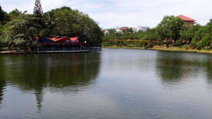 Công an mời về làm việc, nam sinh viên lao xuống hồ chết đuối