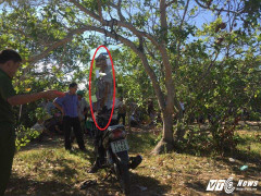 Nam thanh niên treo cổ tự tử tại vườn điều gần nhà