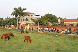 Dùng dao chọc tiết lợn đâm chết người cùng thôn