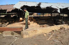 Kỷ luật 5 cán bộ kiểm lâm buông lỏng trách nhiệm bảo vệ rừng