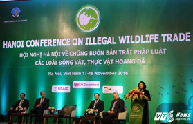 Chống buôn bán trái phép động, thực vật hoang dã: 'Phải quyết liệt ngay từ hôm nay'