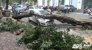 Hiện trường cây xanh gãy đổ đè trúng ô tô trên phố Hà Nội