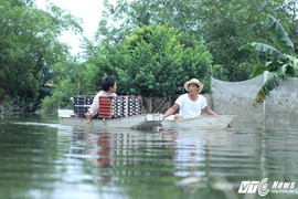 Ảnh: Sau 1 tuần vỡ đê, Chương Mỹ vẫn mênh mông nước