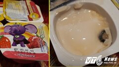 Cho con ăn sữa chua Kidsmix mua tại cửa hàng Kids Plaza, bé 16 tháng tuổi bị ngộ độc?