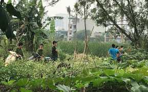 Phát hiện thi thể đang phân hủy trong bụi cây ở Hà Nội