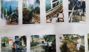 Công an Hà Nội bắt ổ nhóm chuyên chặt trộm gỗ sưa